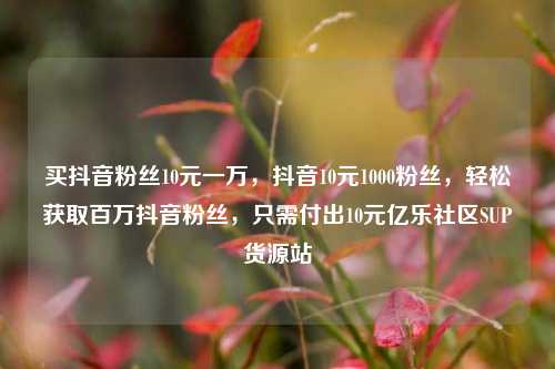 买抖音粉丝10元一万，抖音10元1000粉丝	，轻松获取百万抖音粉丝，只需付出10元亿乐社区SUP货源站  第1张