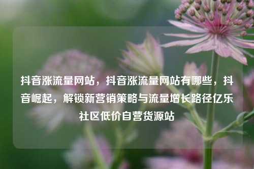 抖音涨流量网站，抖音涨流量网站有哪些，抖音崛起	，解锁新营销策略与流量增长路径亿乐社区低价自营货源站  第1张