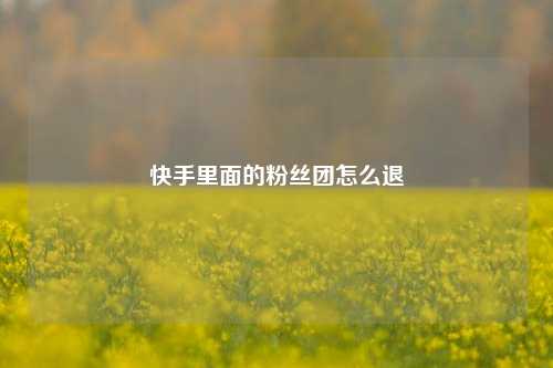 快手里面的粉丝团怎么退  第1张