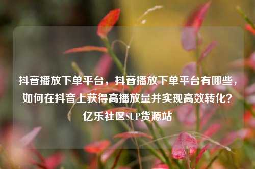 抖音播放下单平台，抖音播放下单平台有哪些	，如何在抖音上获得高播放量并实现高效转化？亿乐社区SUP货源站  第1张