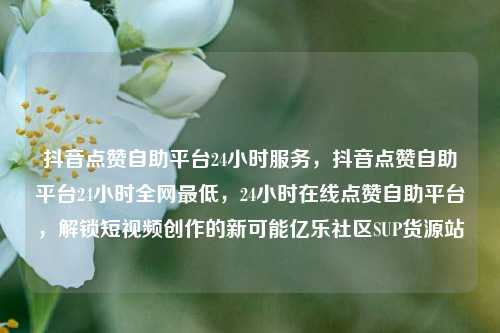 抖音点赞自助平台24小时服务	，抖音点赞自助平台24小时全网最低，24小时在线点赞自助平台，解锁短视频创作的新可能亿乐社区SUP货源站  第1张