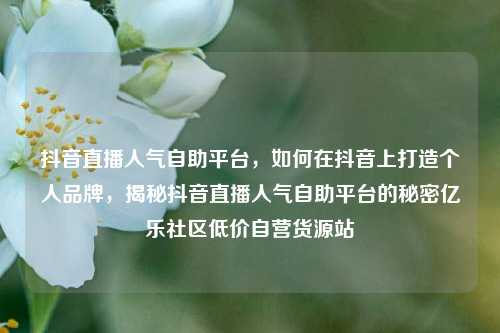 抖音直播人气自助平台	，如何在抖音上打造个人品牌，揭秘抖音直播人气自助平台的秘密亿乐社区低价自营货源站  第1张