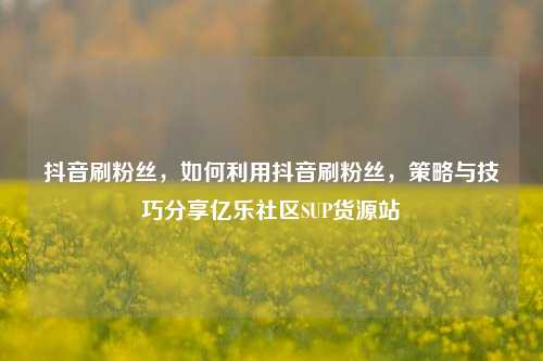 抖音刷粉丝，如何利用抖音刷粉丝，策略与技巧分享亿乐社区SUP货源站  第1张