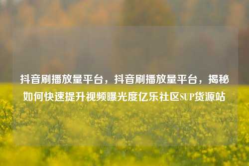 抖音刷播放量平台，抖音刷播放量平台	，揭秘如何快速提升视频曝光度亿乐社区SUP货源站  第1张