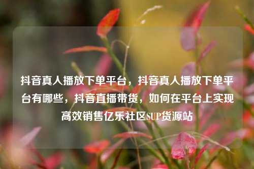 抖音真人播放下单平台，抖音真人播放下单平台有哪些，抖音直播带货	，如何在平台上实现高效销售亿乐社区SUP货源站  第1张