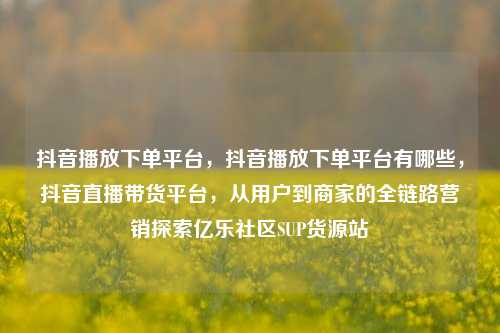 抖音播放下单平台	，抖音播放下单平台有哪些，抖音直播带货平台，从用户到商家的全链路营销探索亿乐社区SUP货源站  第1张