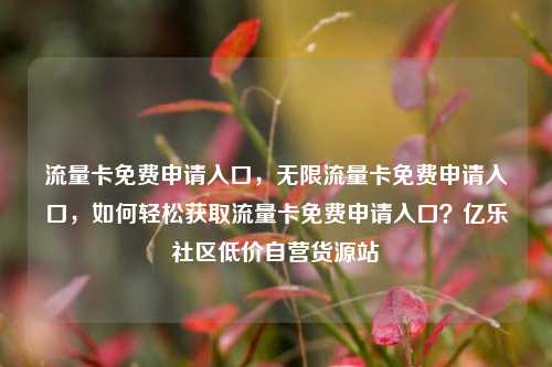 流量卡免费申请入口，无限流量卡免费申请入口，如何轻松获取流量卡免费申请入口？亿乐社区低价自营货源站  第1张