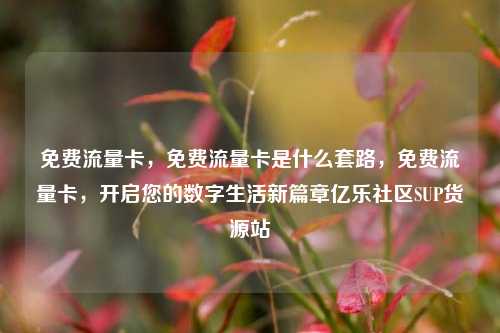 免费流量卡，免费流量卡是什么套路	，免费流量卡，开启您的数字生活新篇章亿乐社区SUP货源站  第1张