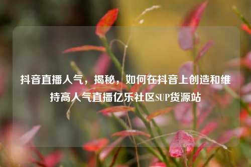 抖音直播人气，揭秘，如何在抖音上创造和维持高人气直播亿乐社区SUP货源站  第1张