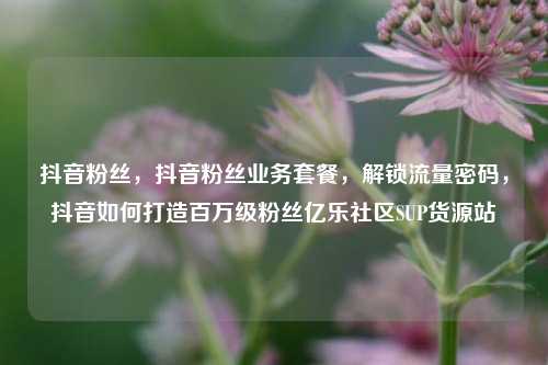 抖音粉丝，抖音粉丝业务套餐，解锁流量密码	，抖音如何打造百万级粉丝亿乐社区SUP货源站  第1张