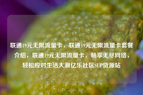 联通19元无限流量卡	，联通19元无限流量卡套餐介绍，联通19元无限流量卡，畅享无尽网络	，轻松应对生活大潮亿乐社区SUP货源站  第1张