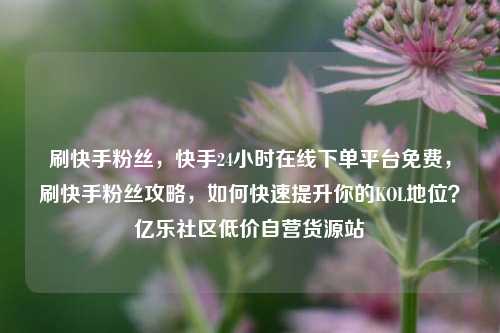 刷快手粉丝，快手24小时在线下单平台免费，刷快手粉丝攻略	，如何快速提升你的KOL地位？亿乐社区低价自营货源站  第1张