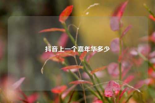 抖音上一个嘉年华多少  第1张