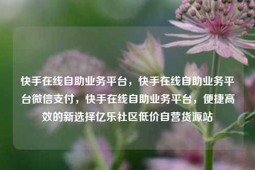 快手在线自助业务平台，快手在线自助业务平台微信支付	，快手在线自助业务平台，便捷高效的新选择亿乐社区低价自营货源站  第1张