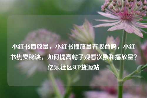 小红书播放量	，小红书播放量有收益吗，小红书热卖秘诀，如何提高帖子观看次数和播放量？亿乐社区SUP货源站  第1张
