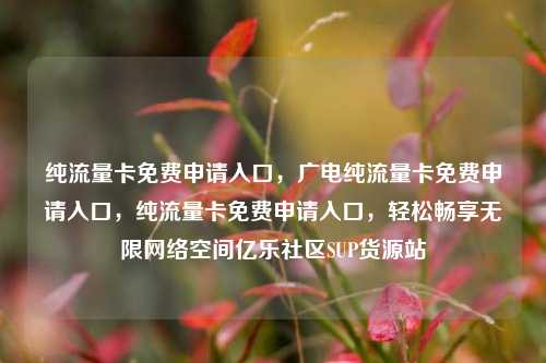纯流量卡免费申请入口，广电纯流量卡免费申请入口	，纯流量卡免费申请入口，轻松畅享无限网络空间亿乐社区SUP货源站  第1张