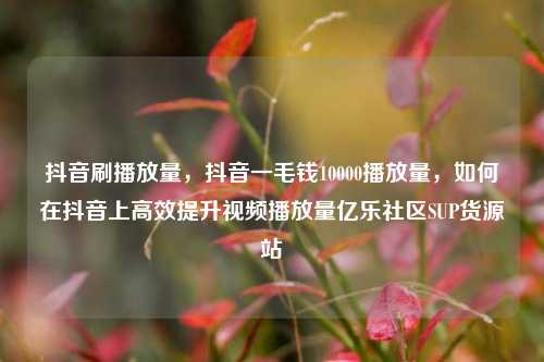 抖音刷播放量	，抖音一毛钱10000播放量，如何在抖音上高效提升视频播放量亿乐社区SUP货源站  第1张