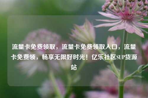 流量卡免费领取，流量卡免费领取入口	，流量卡免费领，畅享无限好时光！亿乐社区SUP货源站  第1张