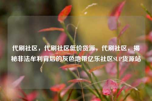 代刷社区，代刷社区低价货源，代刷社区	，揭秘非法牟利背后的灰色地带亿乐社区SUP货源站  第1张