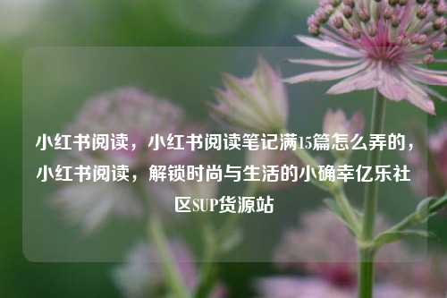 小红书阅读，小红书阅读笔记满15篇怎么弄的	，小红书阅读，解锁时尚与生活的小确幸亿乐社区SUP货源站  第1张