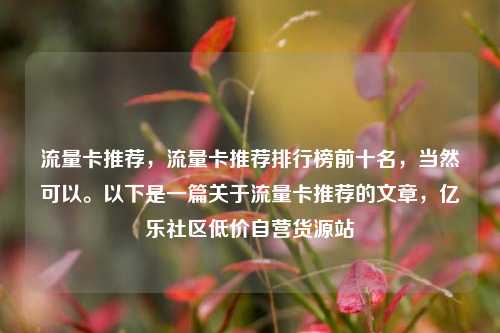 流量卡推荐，流量卡推荐排行榜前十名，当然可以。以下是一篇关于流量卡推荐的文章，亿乐社区低价自营货源站  第1张