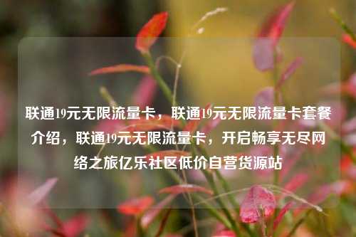 联通19元无限流量卡	，联通19元无限流量卡套餐介绍，联通19元无限流量卡，开启畅享无尽网络之旅亿乐社区低价自营货源站  第1张