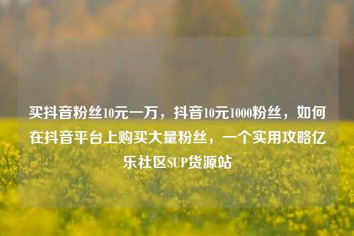 买抖音粉丝10元一万，抖音10元1000粉丝，如何在抖音平台上购买大量粉丝，一个实用攻略亿乐社区SUP货源站  第1张