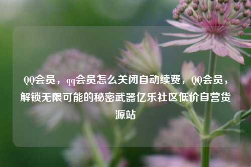 QQ会员，qq会员怎么关闭自动续费，QQ会员	，解锁无限可能的秘密武器亿乐社区低价自营货源站  第1张