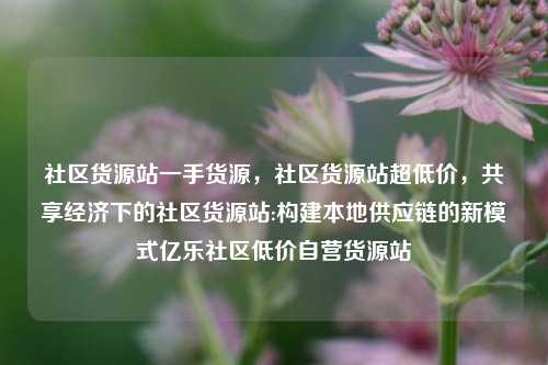 社区货源站一手货源，社区货源站超低价	，共享经济下的社区货源站:构建本地供应链的新模式亿乐社区低价自营货源站  第1张