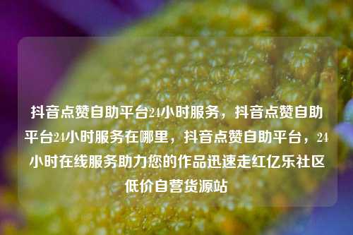 抖音点赞自助平台24小时服务，抖音点赞自助平台24小时服务在哪里	，抖音点赞自助平台，24小时在线服务助力您的作品迅速走红亿乐社区低价自营货源站  第1张