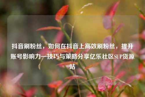 抖音刷粉丝，如何在抖音上高效刷粉丝，提升账号影响力—技巧与策略分享亿乐社区SUP货源站  第1张
