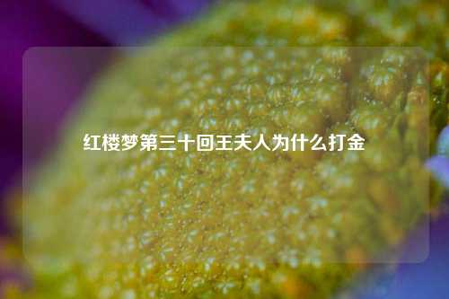 红楼梦第三十回王夫人为什么打金  第1张