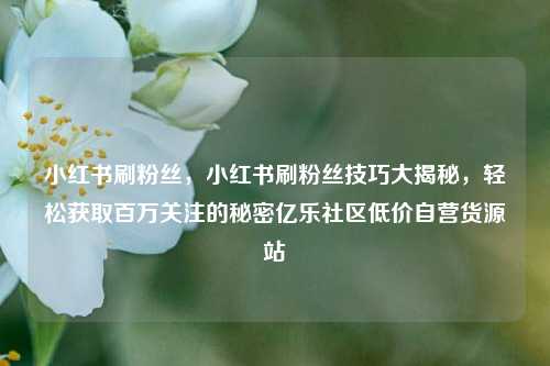 小红书刷粉丝，小红书刷粉丝技巧大揭秘，轻松获取百万关注的秘密亿乐社区低价自营货源站  第1张