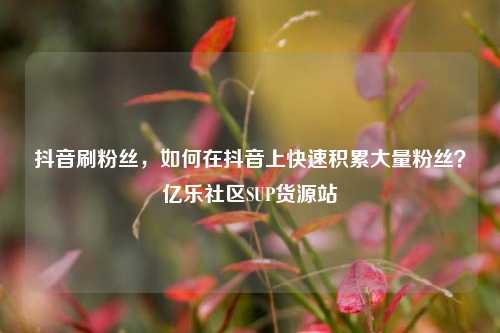 抖音刷粉丝	，如何在抖音上快速积累大量粉丝？亿乐社区SUP货源站  第1张