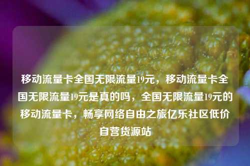 移动流量卡全国无限流量19元	，移动流量卡全国无限流量19元是真的吗，全国无限流量19元的移动流量卡，畅享网络自由之旅亿乐社区低价自营货源站  第1张