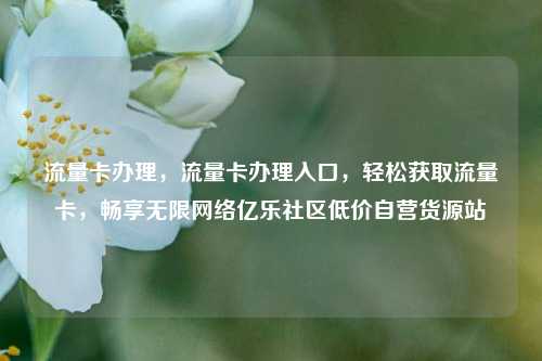流量卡办理，流量卡办理入口，轻松获取流量卡	，畅享无限网络亿乐社区低价自营货源站  第1张