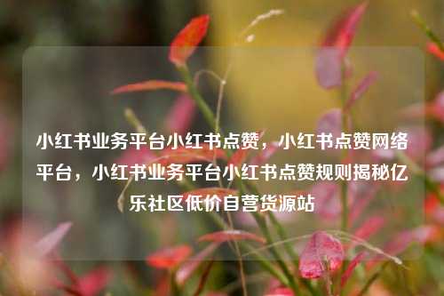 小红书业务平台小红书点赞	，小红书点赞网络平台，小红书业务平台小红书点赞规则揭秘亿乐社区低价自营货源站  第1张