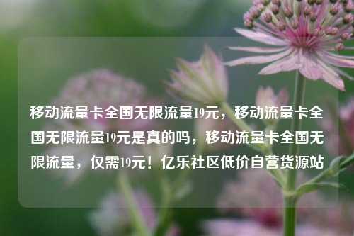 移动流量卡全国无限流量19元，移动流量卡全国无限流量19元是真的吗	，移动流量卡全国无限流量，仅需19元！亿乐社区低价自营货源站  第1张