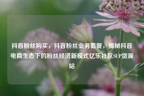 抖音粉丝购买	，抖音粉丝业务套餐，揭秘抖音电商生态下的粉丝经济新模式亿乐社区SUP货源站  第1张