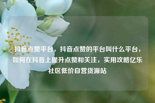 抖音点赞平台	，抖音点赞的平台叫什么平台，如何在抖音上提升点赞和关注，实用攻略亿乐社区低价自营货源站  第1张