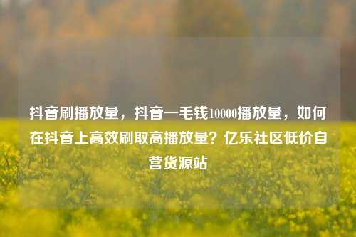 抖音刷播放量，抖音一毛钱10000播放量	，如何在抖音上高效刷取高播放量？亿乐社区低价自营货源站  第1张
