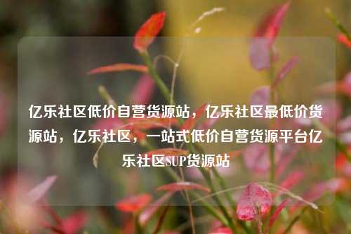 亿乐社区低价自营货源站，亿乐社区最低价货源站，亿乐社区	，一站式低价自营货源平台亿乐社区SUP货源站  第1张
