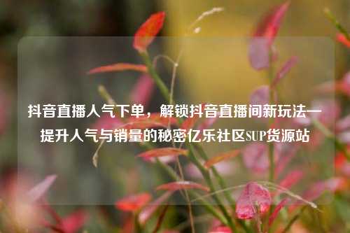 抖音直播人气下单，解锁抖音直播间新玩法—提升人气与销量的秘密亿乐社区SUP货源站  第1张