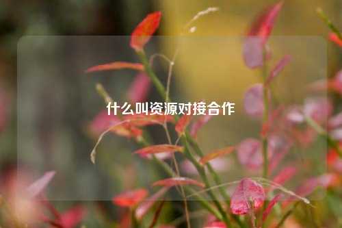 什么叫资源对接合作  第1张
