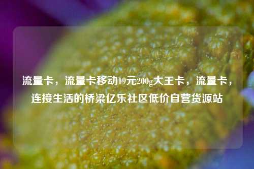 流量卡	，流量卡移动19元200g大王卡，流量卡，连接生活的桥梁亿乐社区低价自营货源站  第1张
