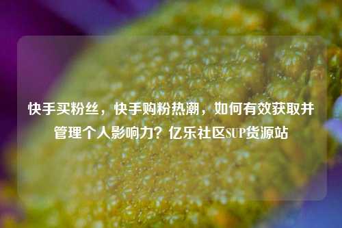 快手买粉丝，快手购粉热潮	，如何有效获取并管理个人影响力？亿乐社区SUP货源站  第1张