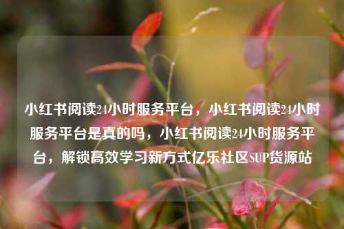 小红书阅读24小时服务平台，小红书阅读24小时服务平台是真的吗	，小红书阅读24小时服务平台，解锁高效学习新方式亿乐社区SUP货源站  第1张