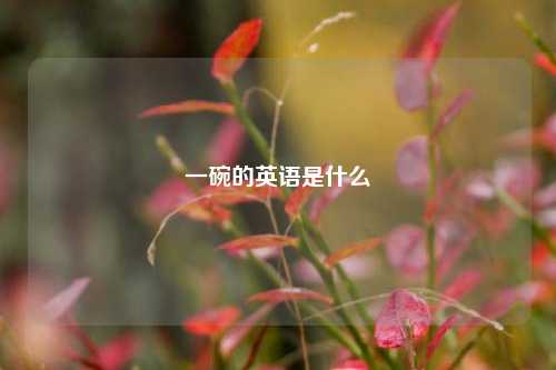 一碗的英语是什么  第1张