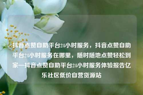 抖音点赞自助平台24小时服务，抖音点赞自助平台24小时服务在哪里，随时随地点赞轻松到家—抖音点赞自助平台24小时服务体验报告亿乐社区低价自营货源站  第1张