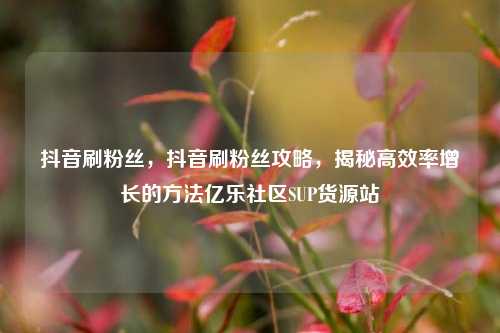 抖音刷粉丝，抖音刷粉丝攻略	，揭秘高效率增长的方法亿乐社区SUP货源站  第1张